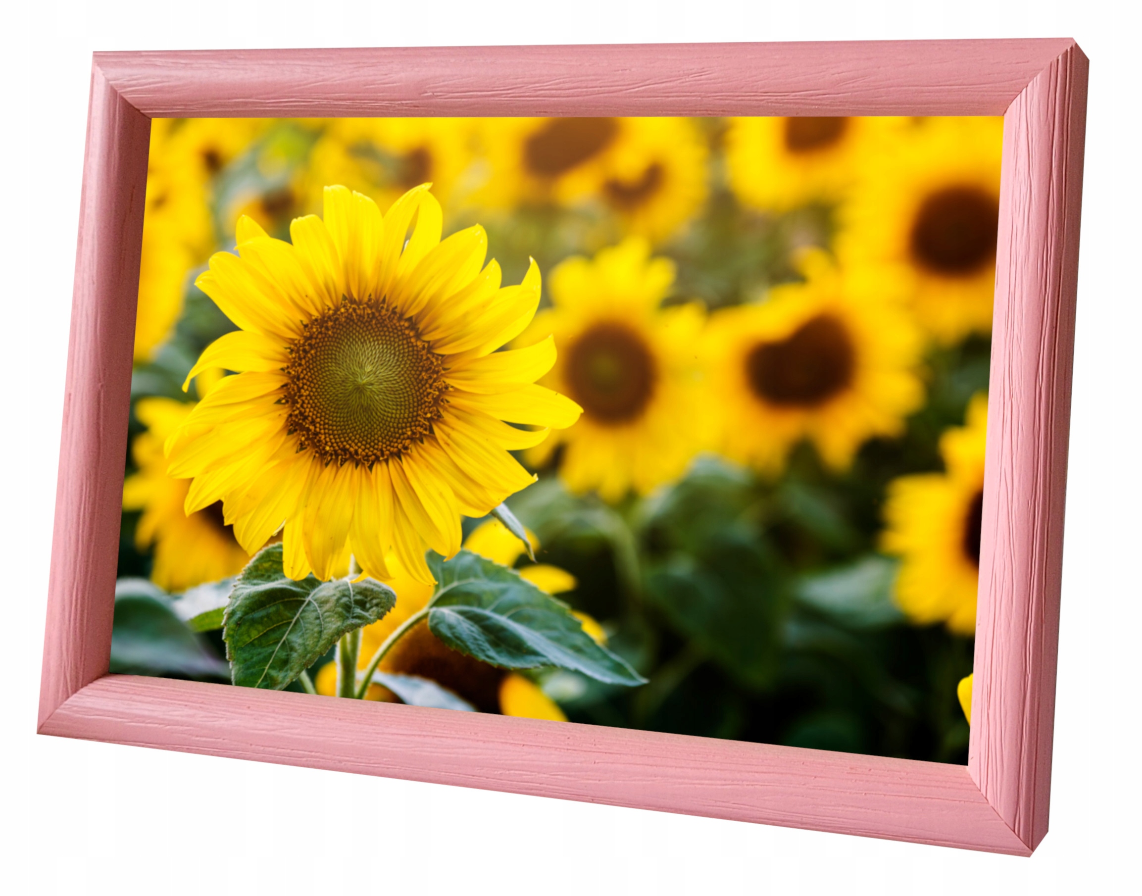 

Ramka 15x23 Tulip Ślub Chrzest na zdjęcia Dziecka