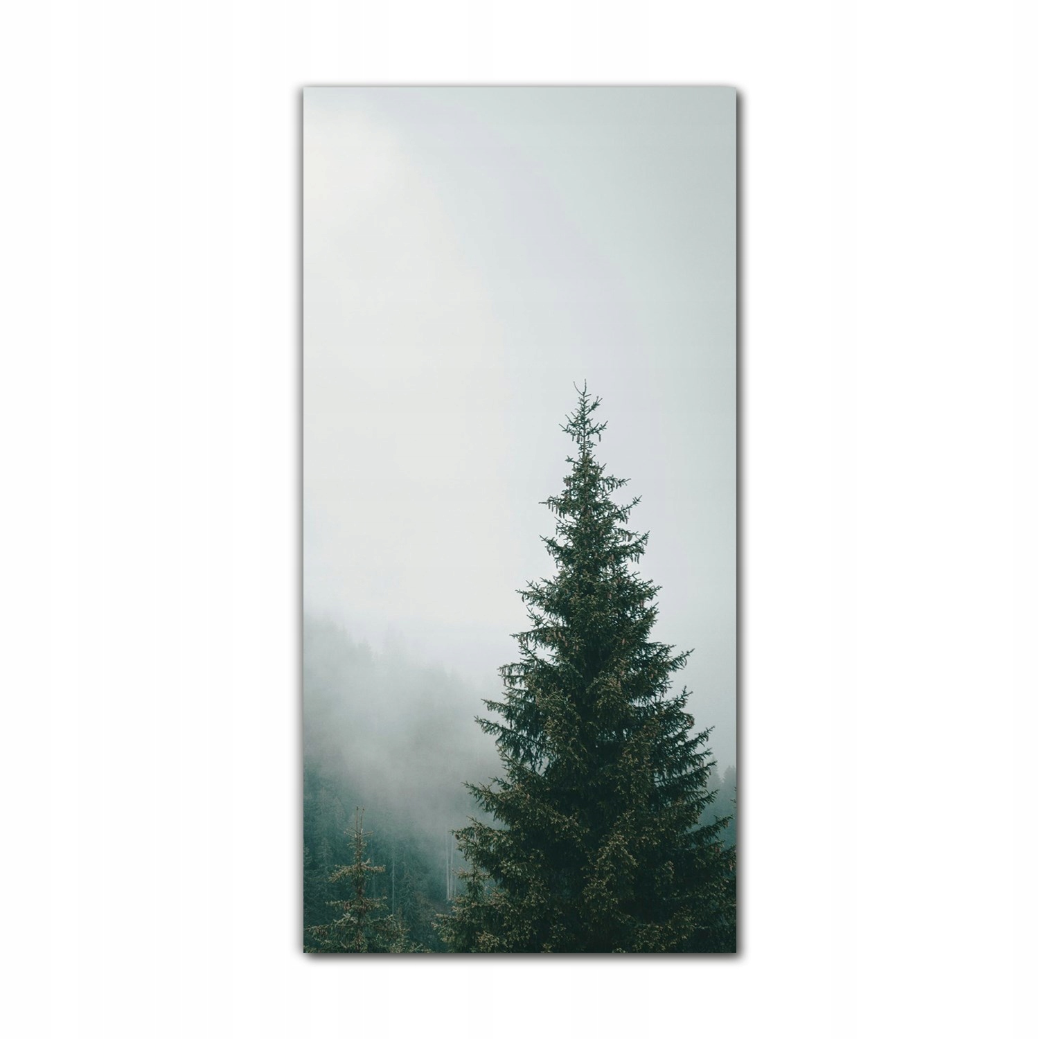 

Foto-obraz na szkle na ścianę 70x140 Mgła las dym