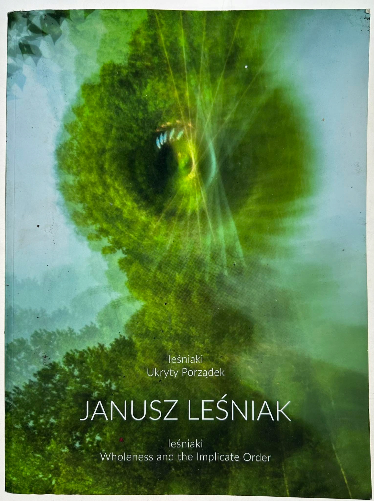 Leśniaki Ukryty Porządek | Janusz Leśniak Janusz Leśniak, Daniel Leśniak