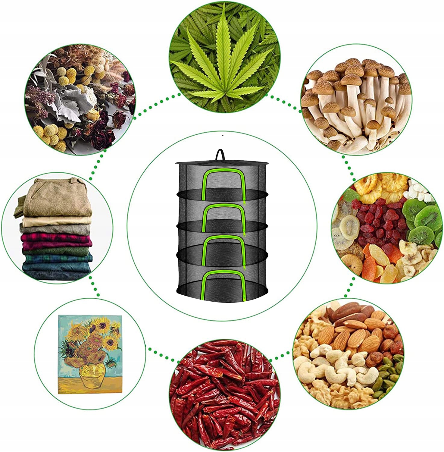 SIATKA DO SUSZENIA ZIÓŁ 60/80CM 4 PÓŁEK 1SUSZARKA Producent Bedee