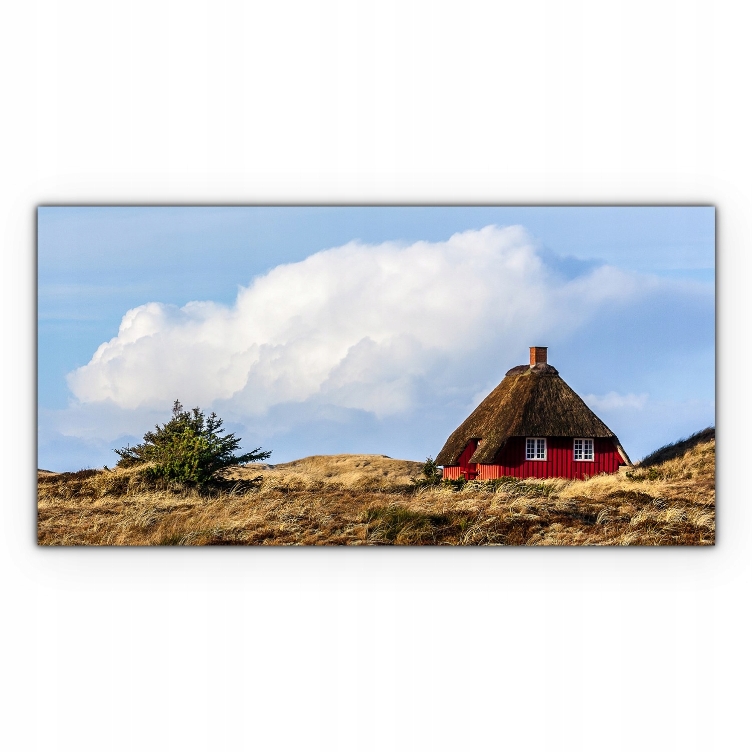 

Obraz na płótnie ścienny 100x50 Domy Wioska Wieś