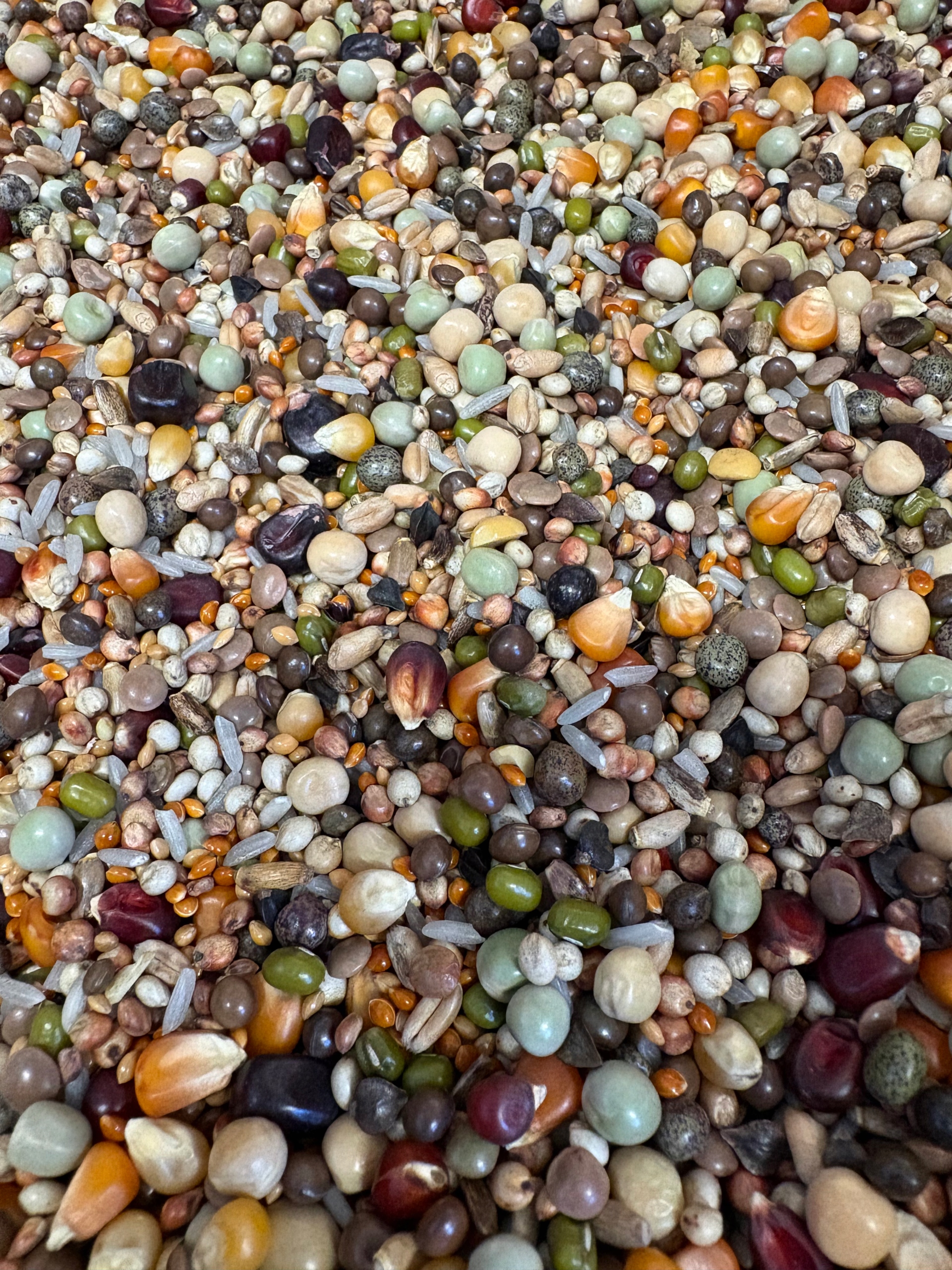 Karma Baza Kociuba 20kg, Gold Wings, drobna i bogata, loty-odchów-pierzenie