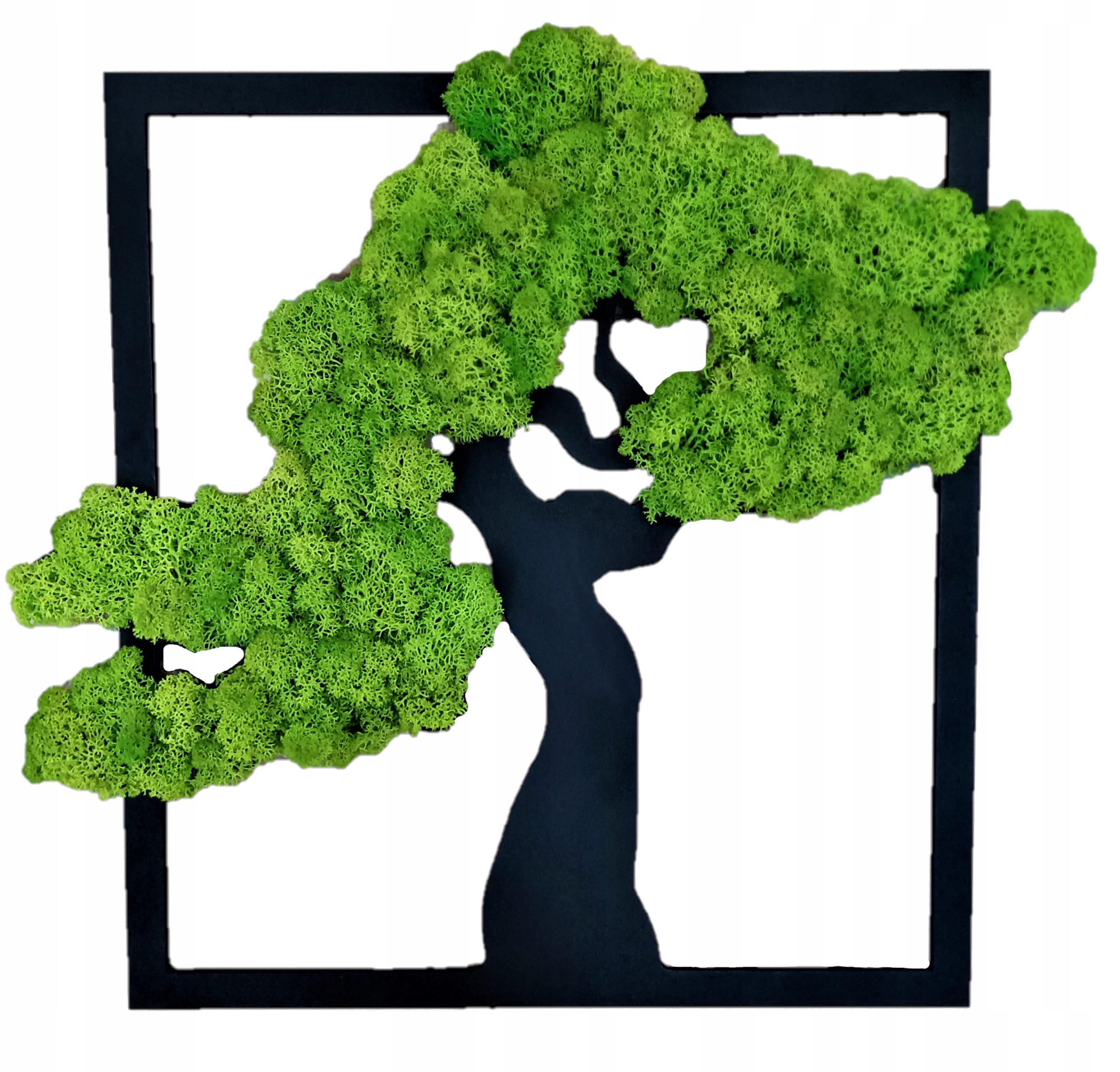 Bonsajový strom s mechem a chrobotkem Živý obraz 50 cm