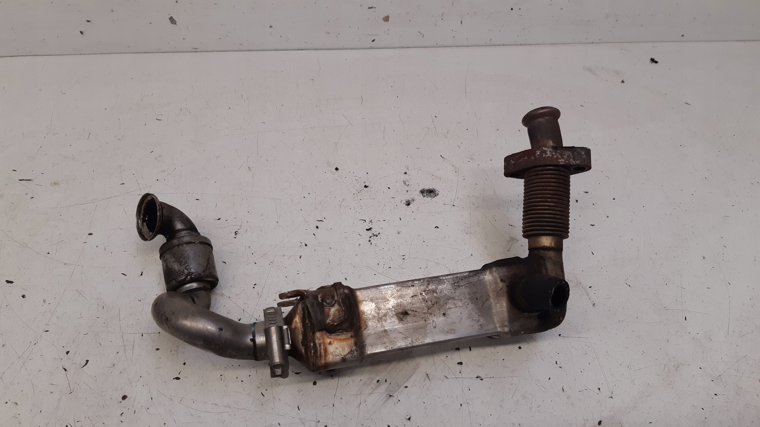Kühler EGR 7700065 BMW E61