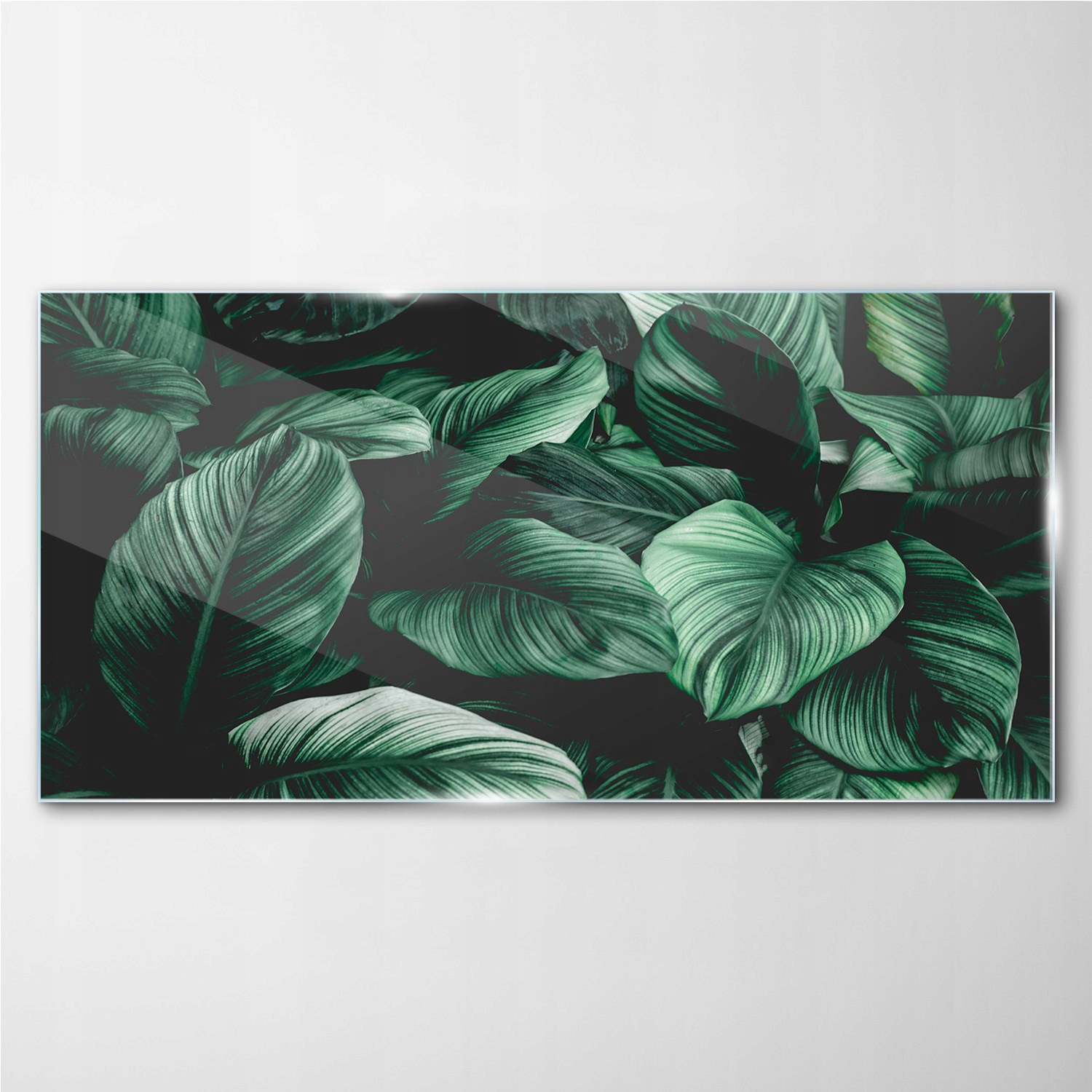 

Fotoobraz szklany na ścianę Liście monstery 140x70