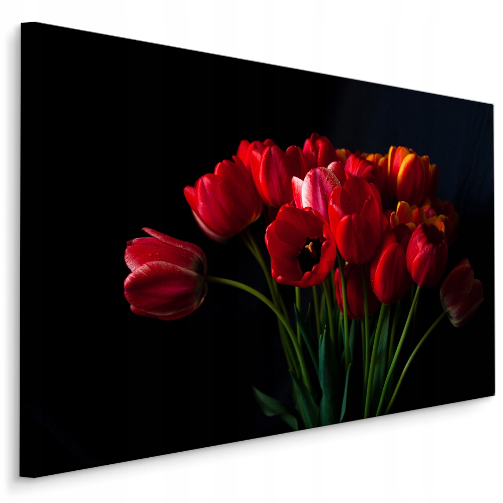 obraz na plátně Květiny Tulipány Dekor 3D 120x80