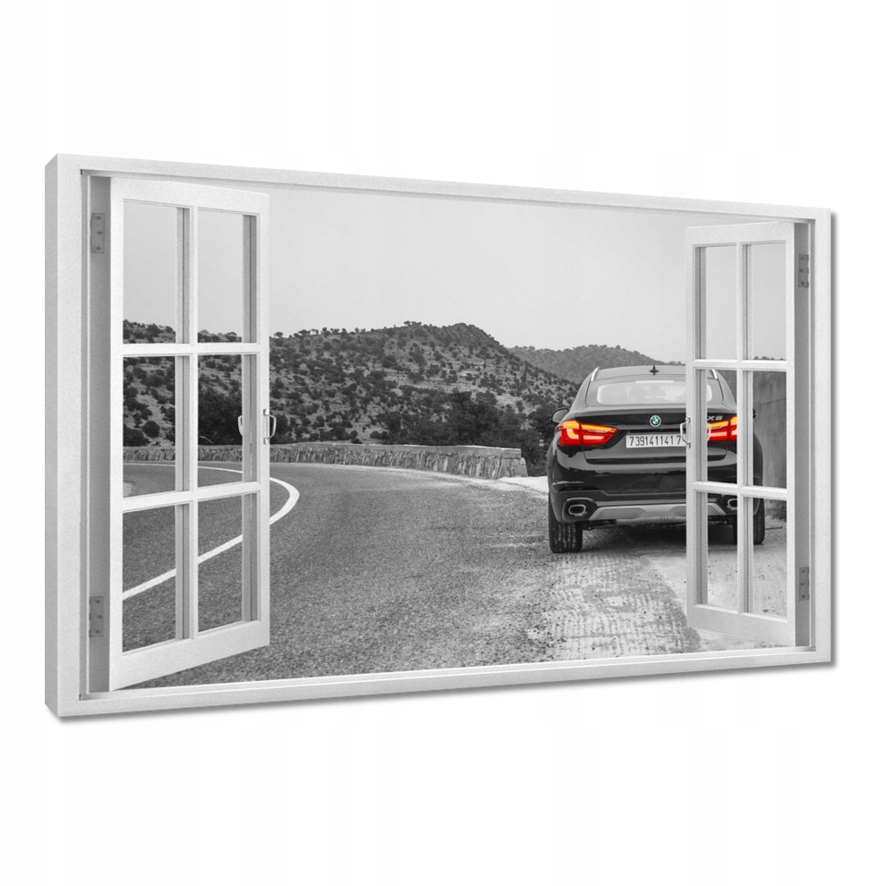 

Obrazy 120x80 Bmw czarne X6