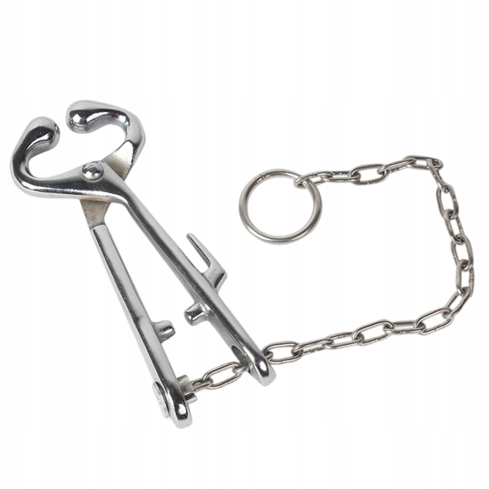 Farma szczypiec do bydła z łańcuchem Marka inny