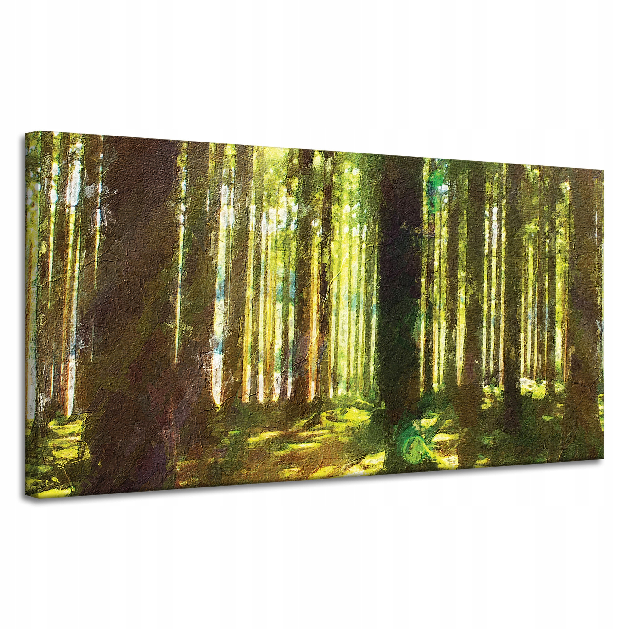Obraz na plátně Olejový les Stromy Světlo Příroda 120x60 cm