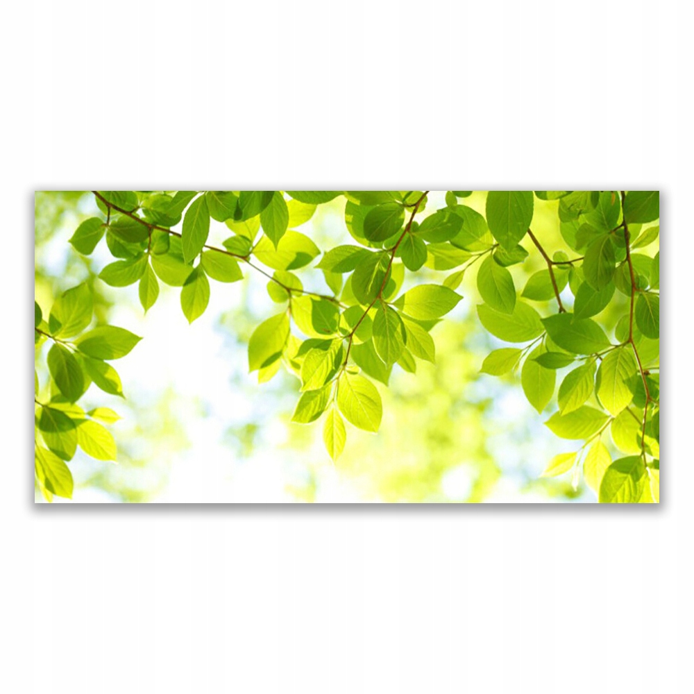

Obraz akryl ścienny 120x60 Liście Natura Roślina