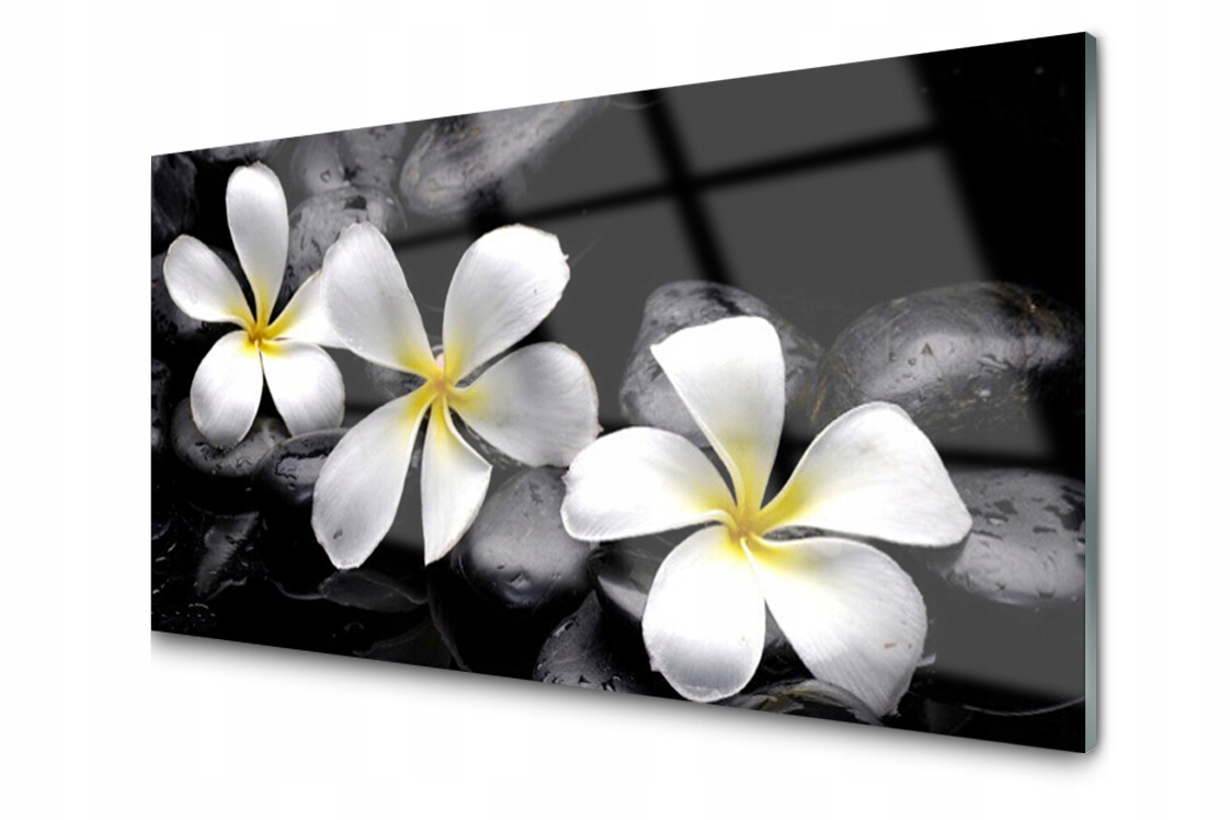 

Panel szklany dekor Kwiat Plumeria 140x70 + Klej