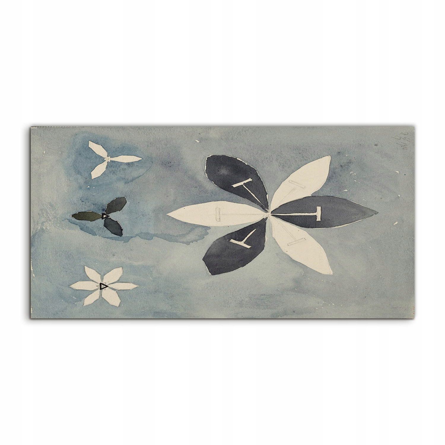 Akrylový obraz 100x50 závesný Hilma Af Klint Vintage