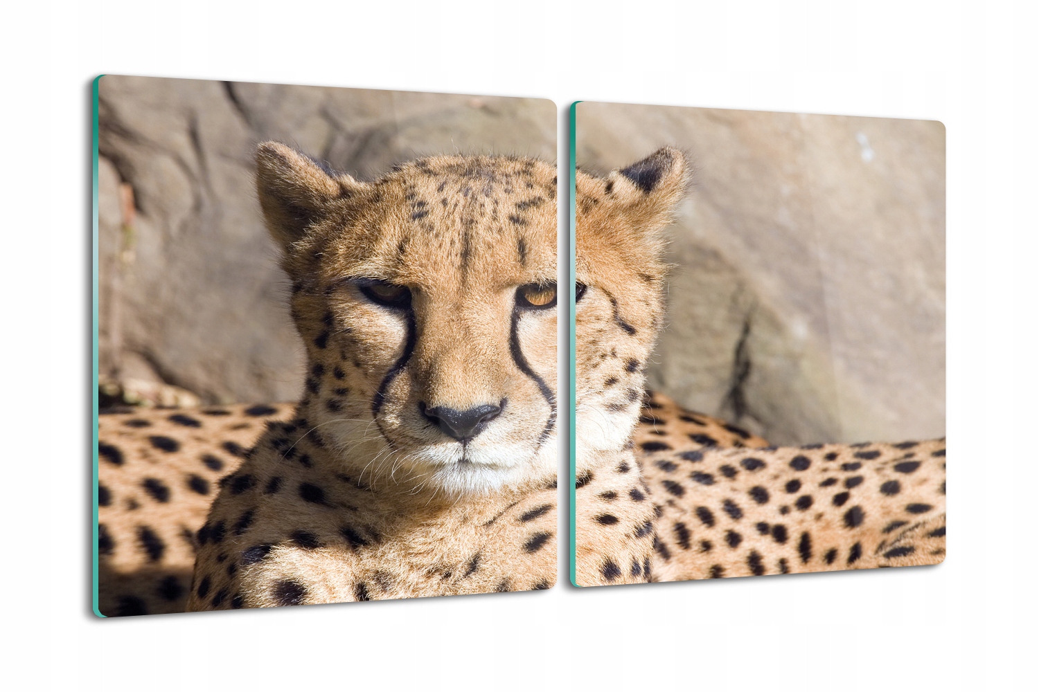 Kuchyňská skleněná deska na krájení Protiskluzová 2x40x52 Gepard zvíře