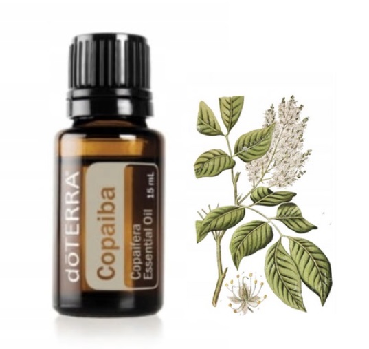 Doterra Olejek Eteryczny Copaiba 15ML
