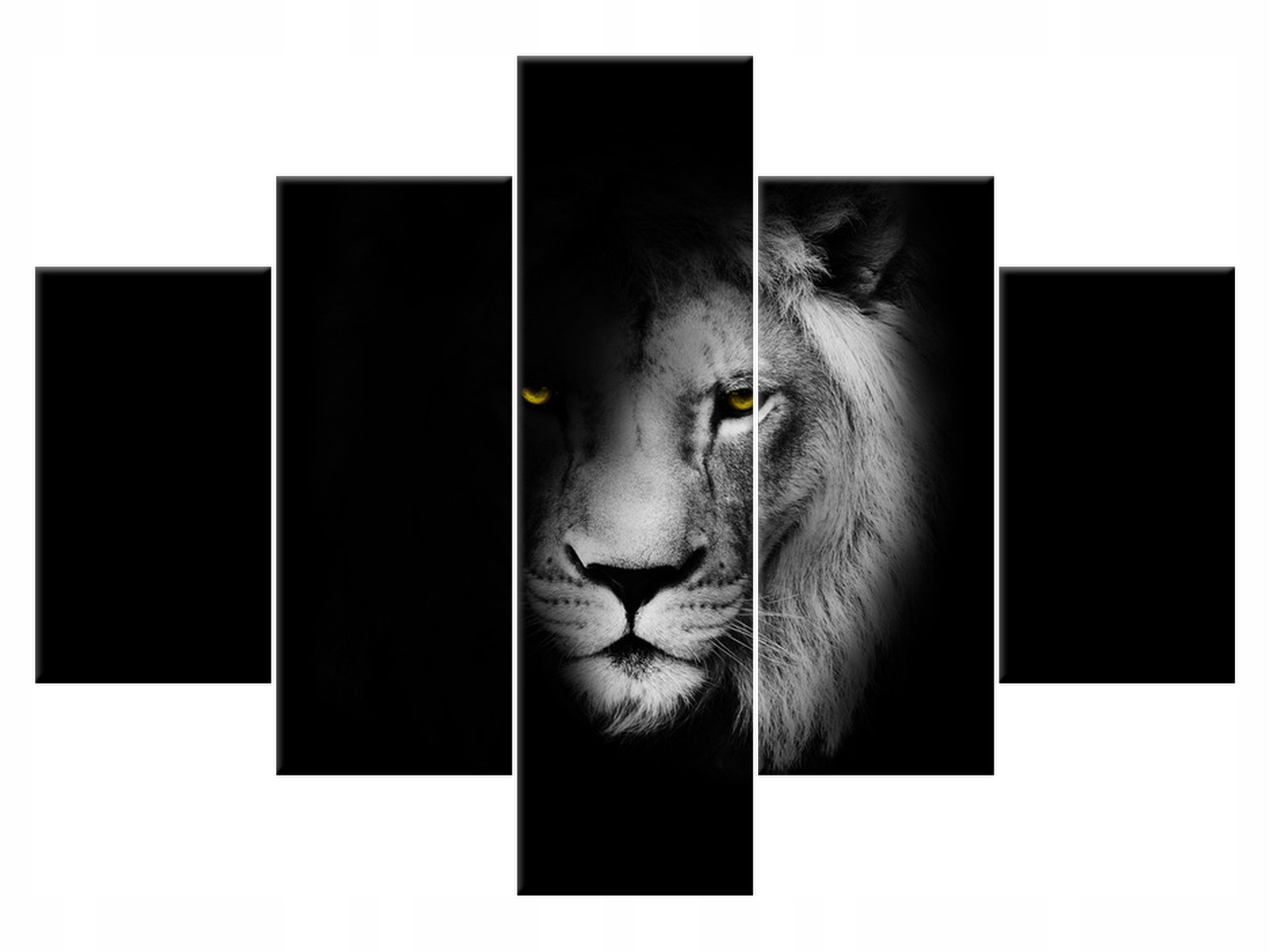 

Obraz Lew w cieniu 100x70 Lew 1394A_5A