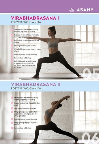 FITPLANER FITNES NOTES TRENINGOWY PASTEL INTERDRUK Rodzaj inny