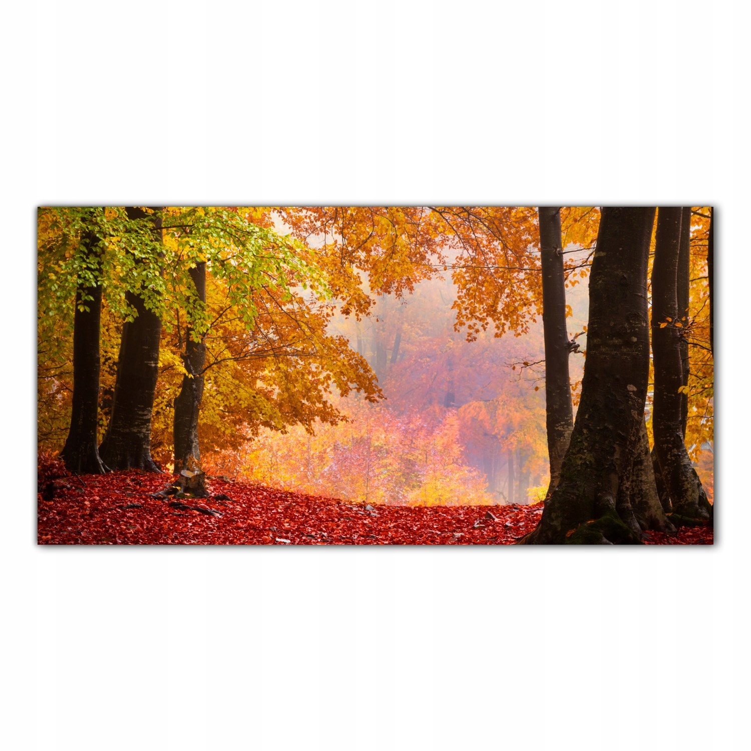 Mlha Les Podzim 140x70 Tvrzené sklo do kuchyně