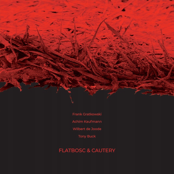 CD Gratkowski Kaufmann Buck Flatbosc & Cautery