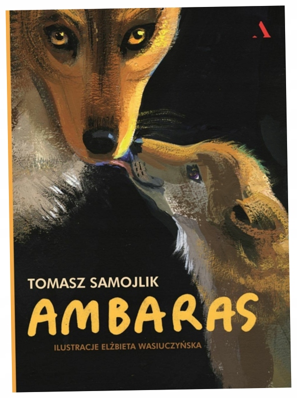 Ambaras. Tomasz Samojlik-Zdjęcie-0