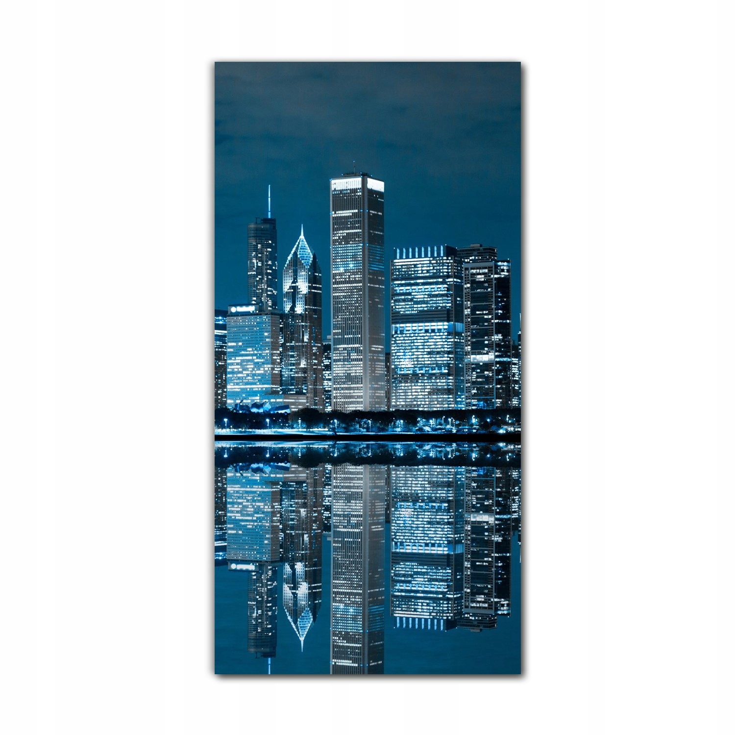 

Foto-obraz ścienny grafika 70x140 Miasto Chicago