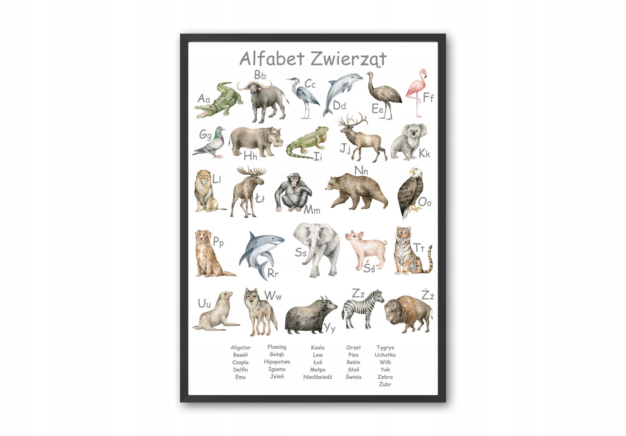 Plakat Edukacyjny Alfabet Zwierzęta 30x40 cm