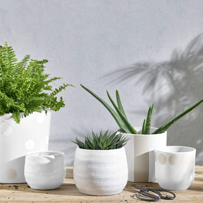 LUXENS FARBA NA BAZIE WODY SPRAY BIAŁY POŁYSK 400ML Rodzaj wodne