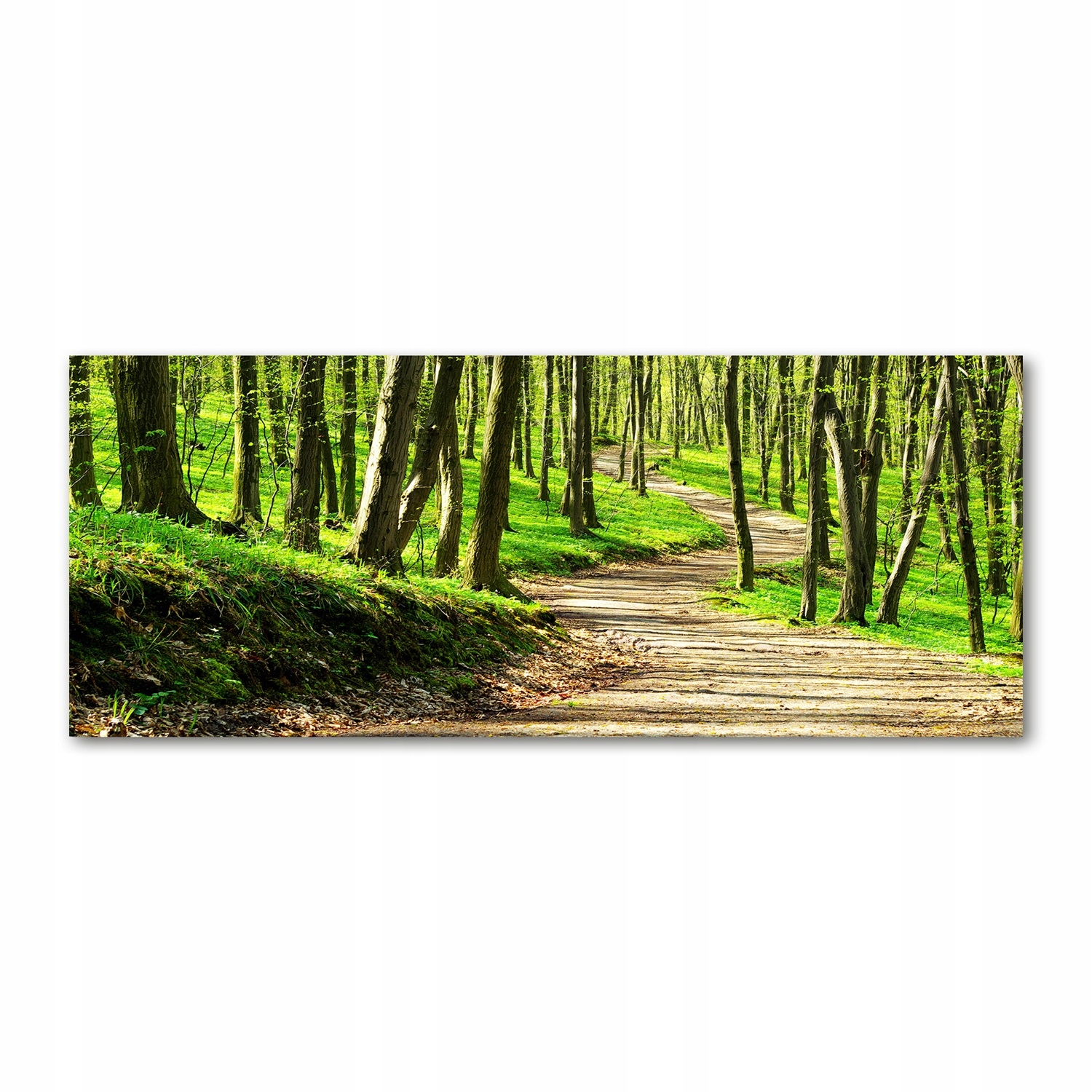 

Foto obraz akryl zdjęcie Ścieżka w lesie 125x50 cm