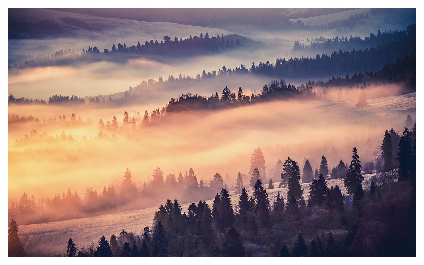 Fototapeta flizelina Lesní kopce v mlze krajina panorama 208x146 lepidlo