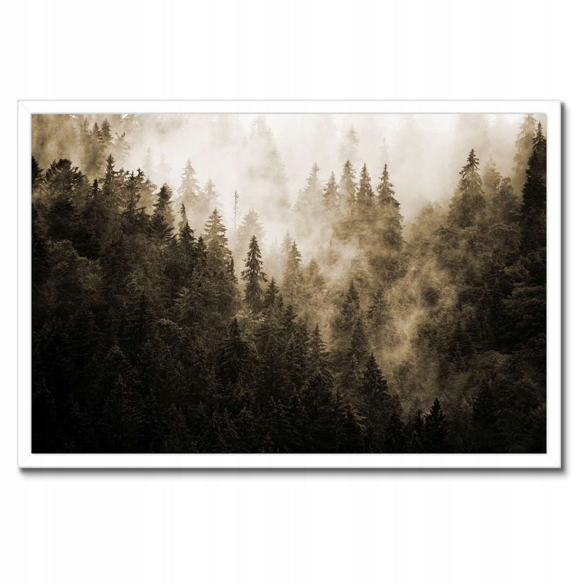 Plakát v bílém rámu 60x40 Krajina Sépie Hory Mlha