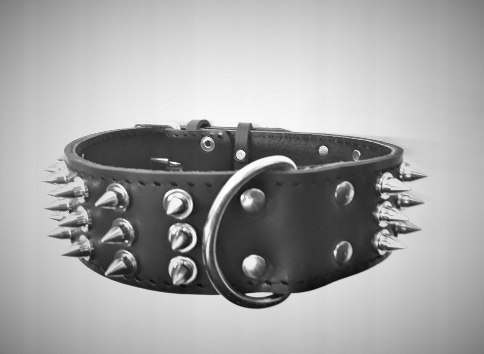 Obroża Skórzana Kolce Skóra 5cm/65cm