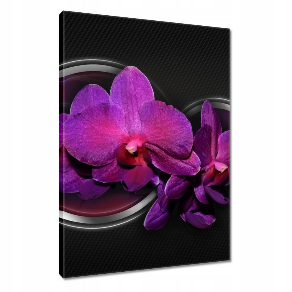 

Obrazy 40x60 Fioletowy oleander