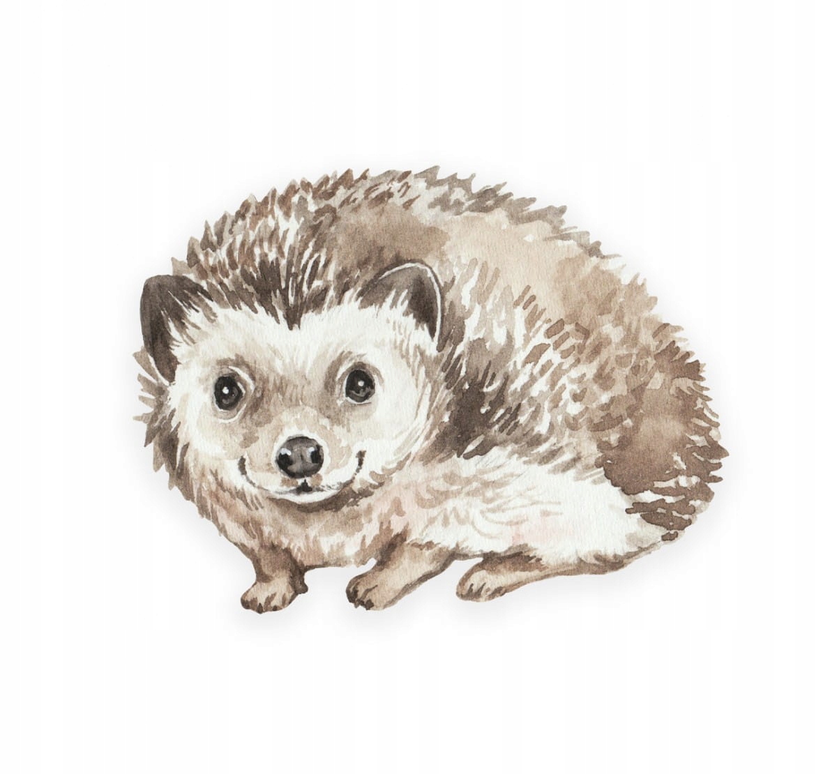 

Płaska poduszka bawełniana Hedgehog Jeż BabySteps