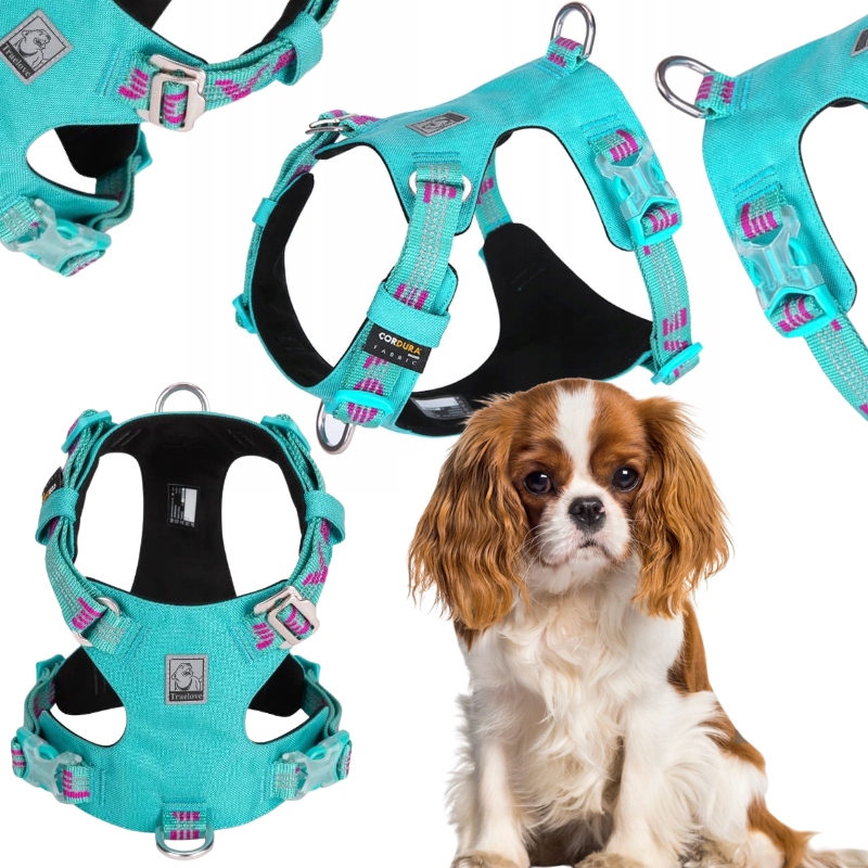 Levně Voděodolné A Lehké Postroje Pro Psa Truelove Adventure Dog Modré S