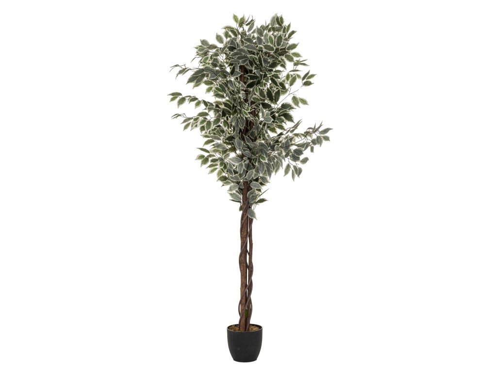 Vysoký umelý fikus s kvetináčom, dvojfarebný, výška 180 cm
