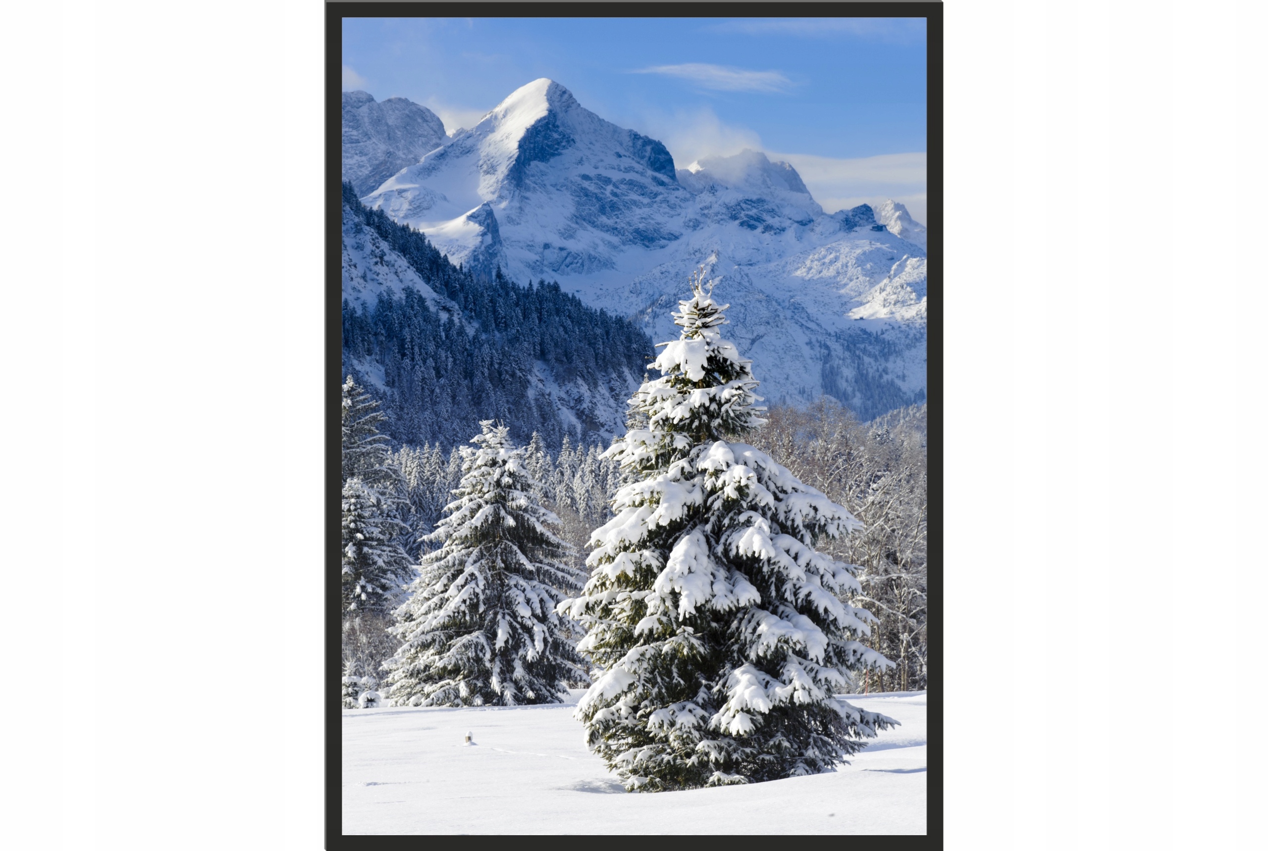 

Obraz plakat 40x30 góry zima las śnieg tatry