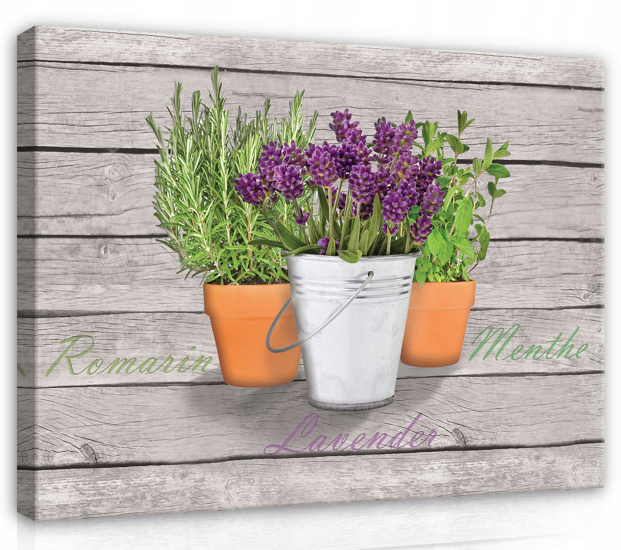 Obraz Na Plátně Canvas 100x75 Bylinky Koření