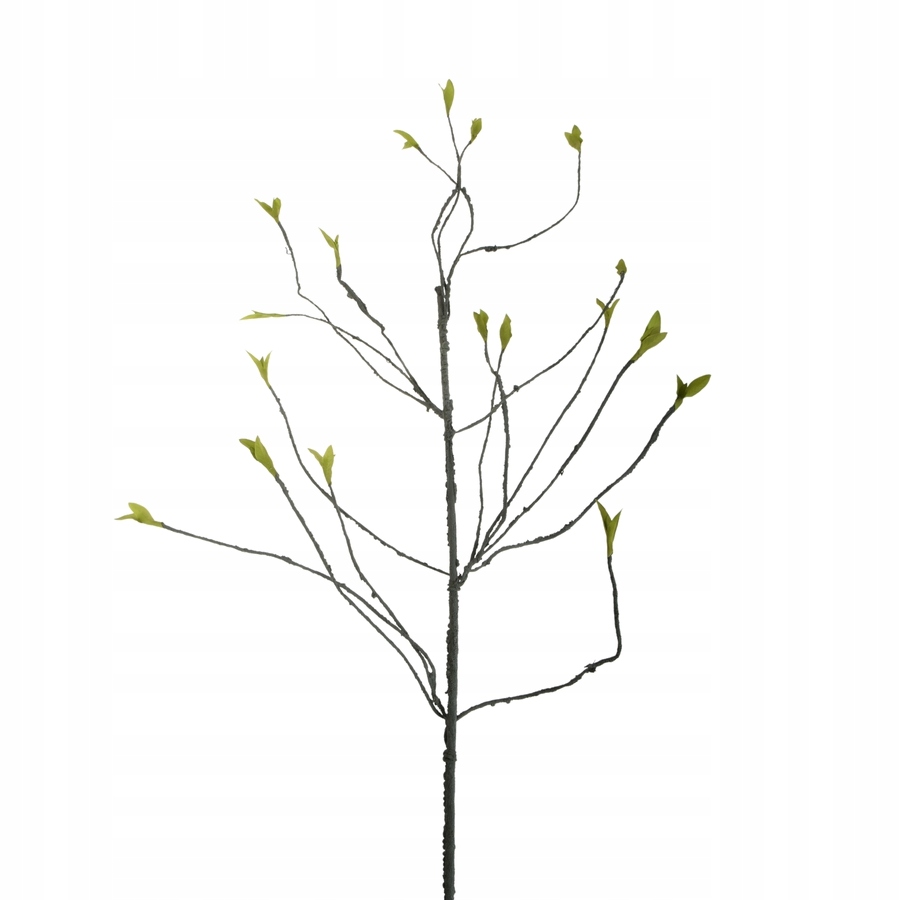 

Gałąź zielona pnącze korzeń z listkami 130 cm