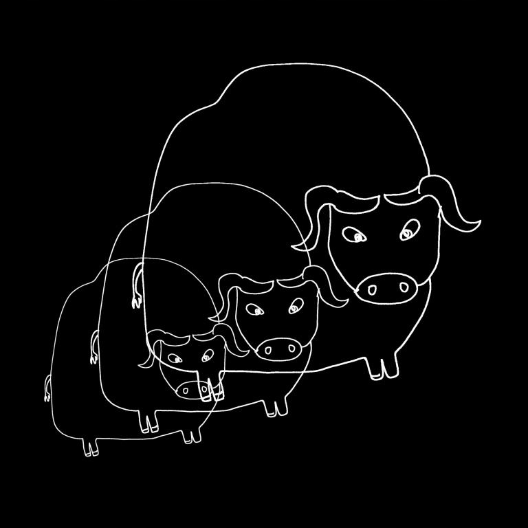 

Męska Krowa Byk Na Koszulce Wzory Śmieszne k3a