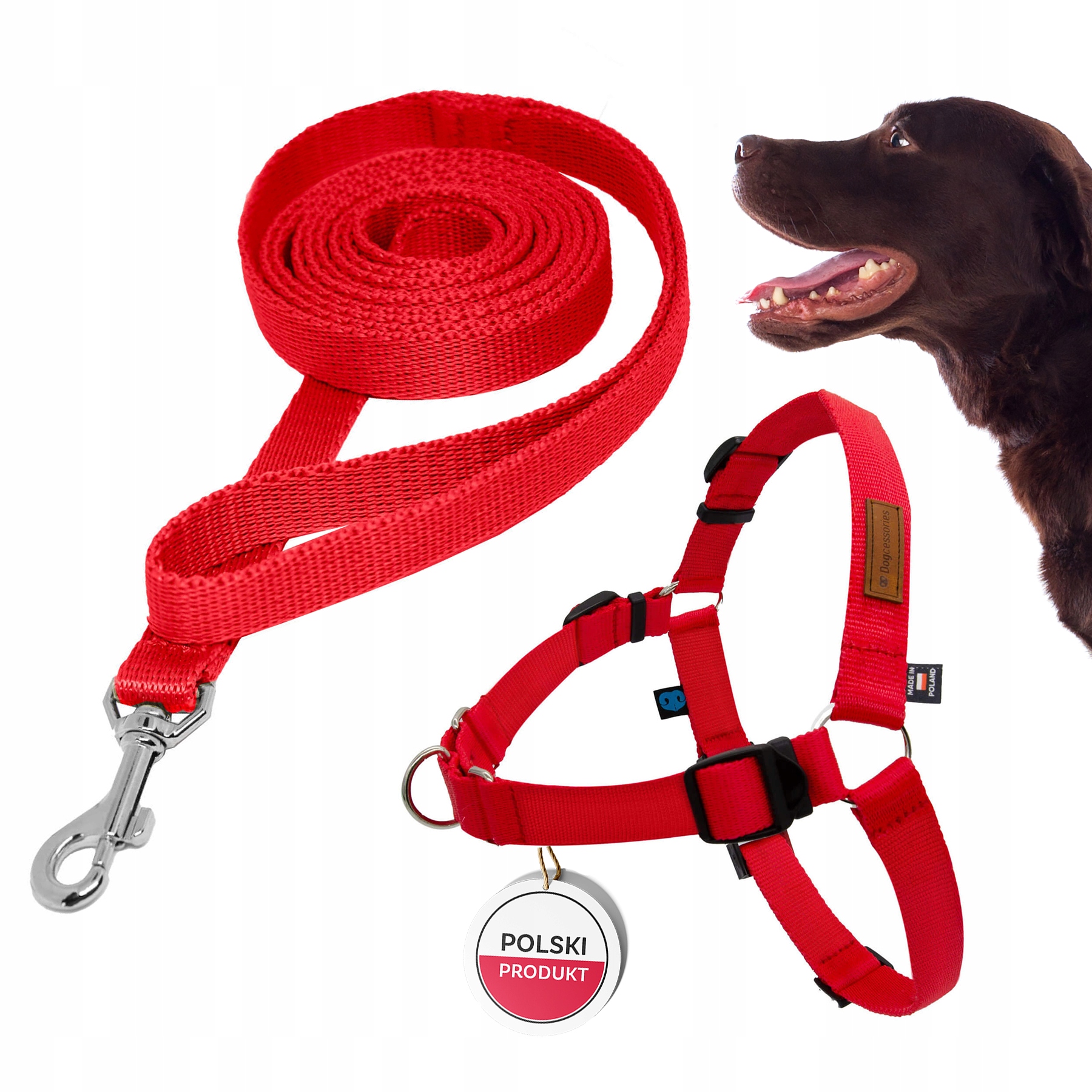 Sada pro tahajícího psa: Postroj Easy Walk L Vodítko 3 m, Pohodlné a Pevné