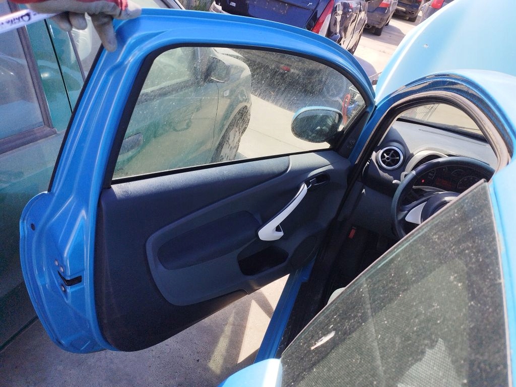 Ford Ka MK2 door left 19