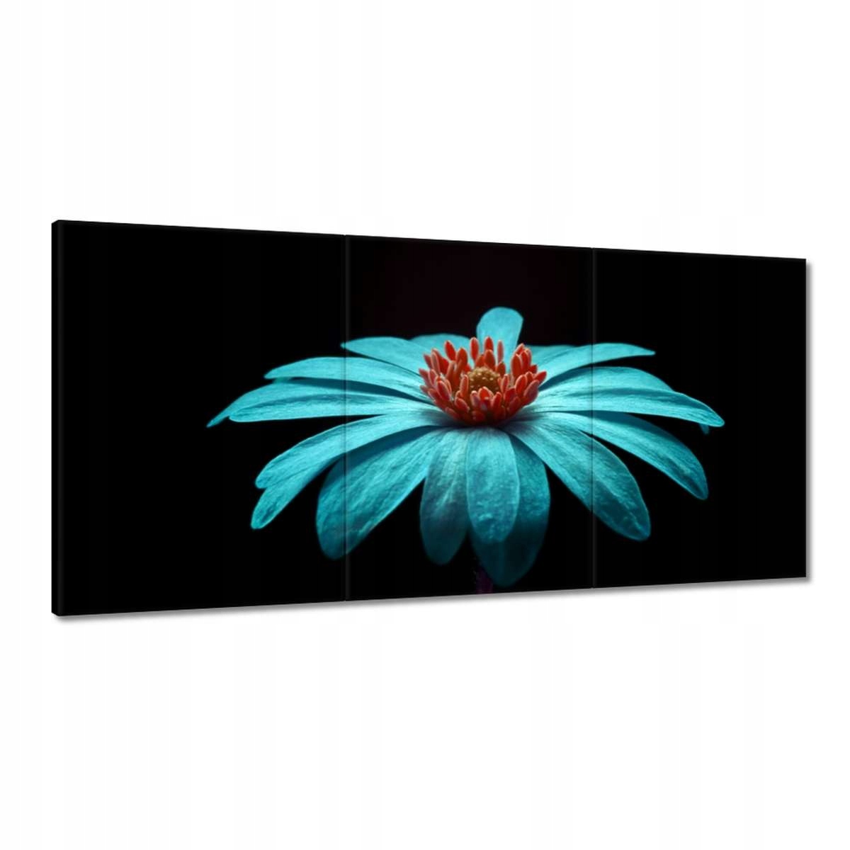 Obrazy 180x90 Tyrkysový kvet