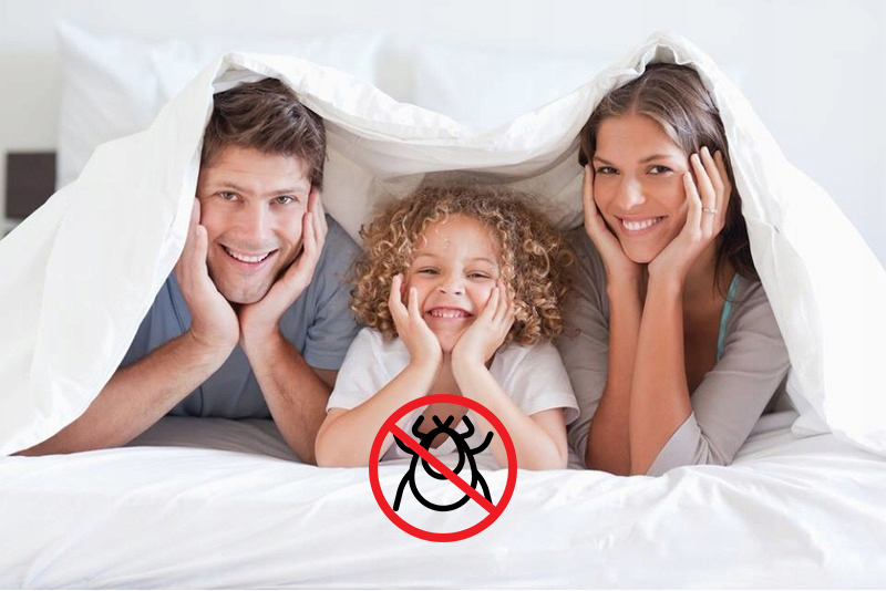 KOŁDRA CAŁOROCZNA 200x220 2 PODUSZKI 70x80 KOMPLET Wyrób medyczny nie