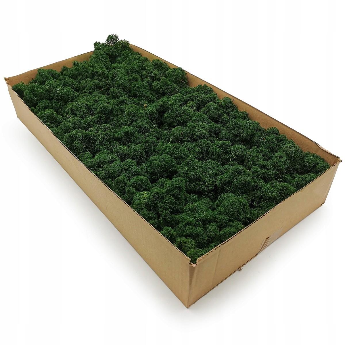 

Mech chrobotek fiński 500g