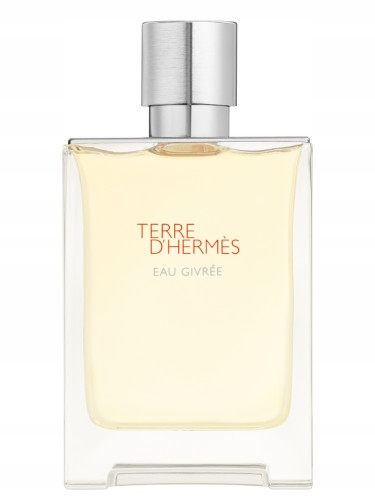 Hermès Terre D'Hermès Eau Givrée Parfémovaná voda Refillable 100 ml