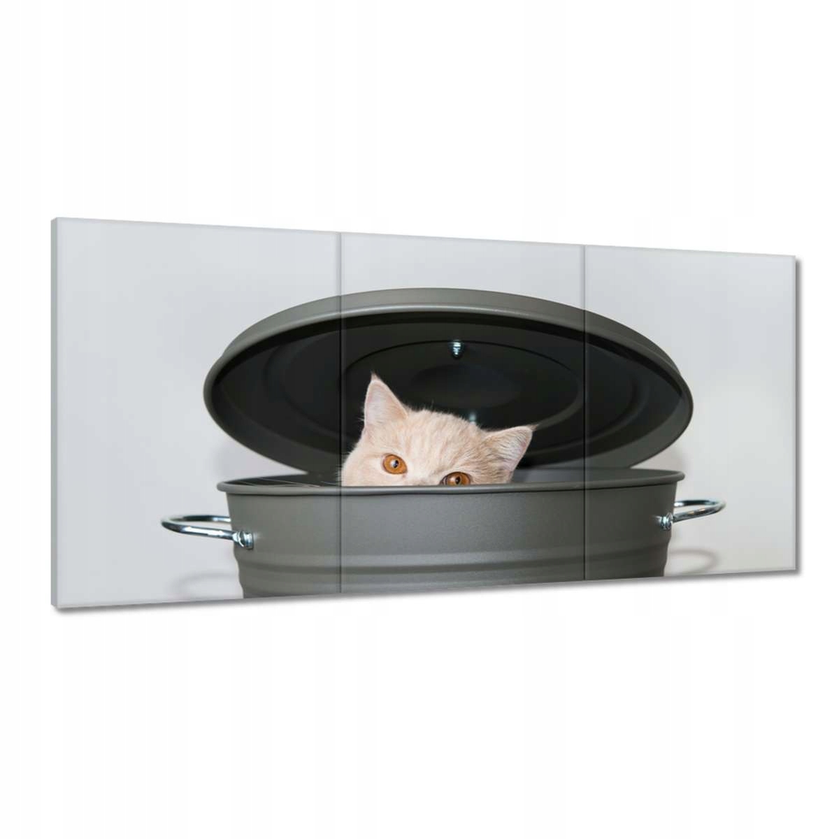 Obrazy 180x90 Mačka Mačky