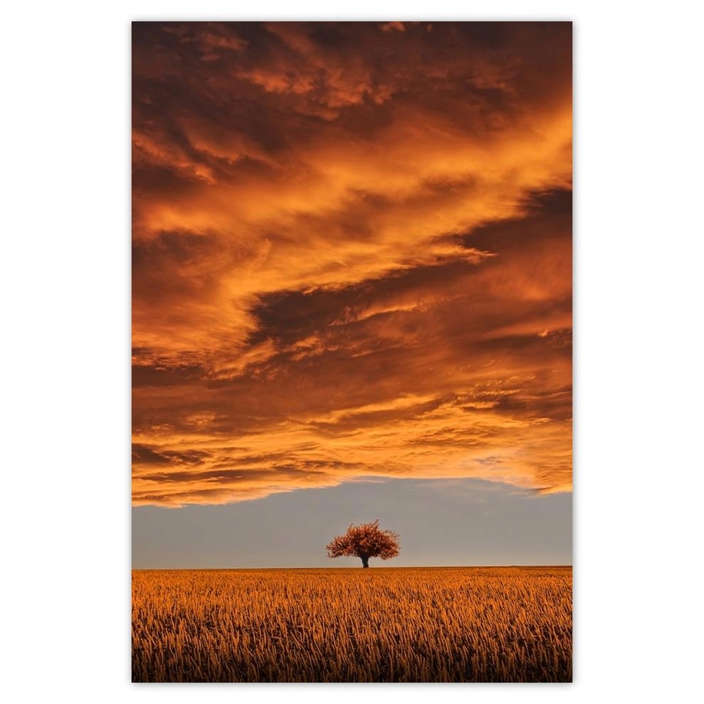 

Plakat 62x93 Pomarańczowe niebo