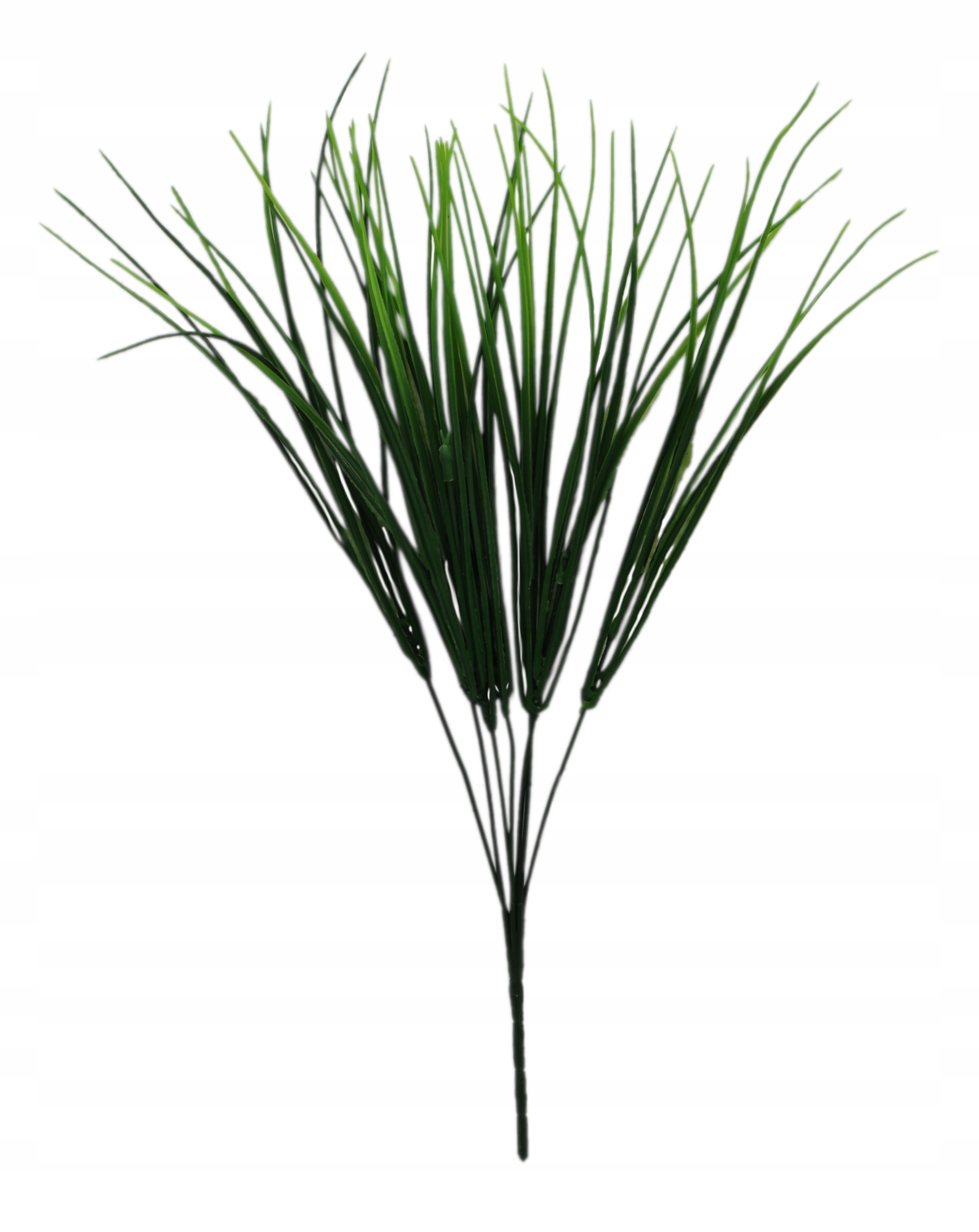 Trawa ozdobna gęsty bukiet 42 cm