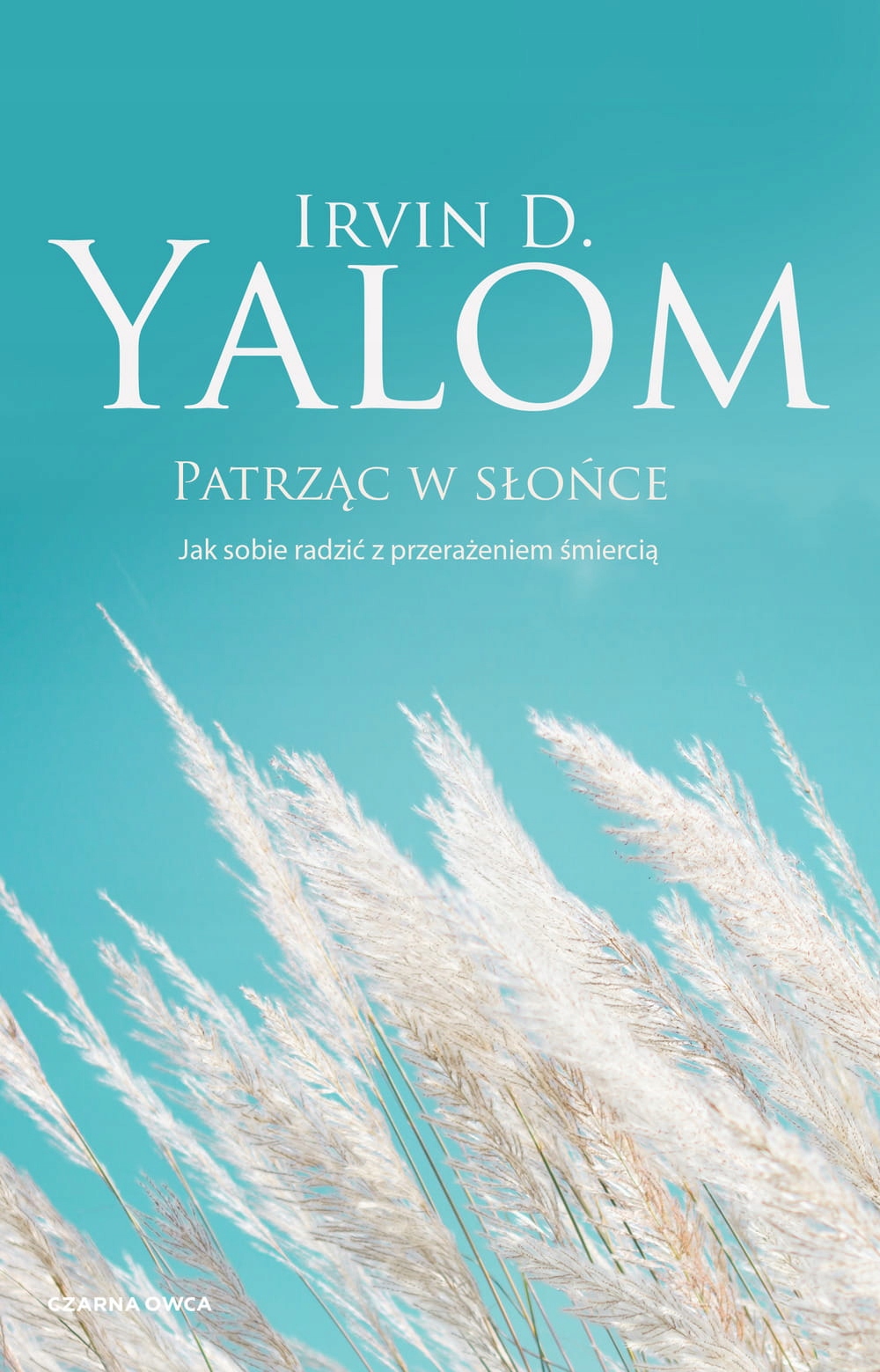 

Patrząc w słońce Czarna Owca