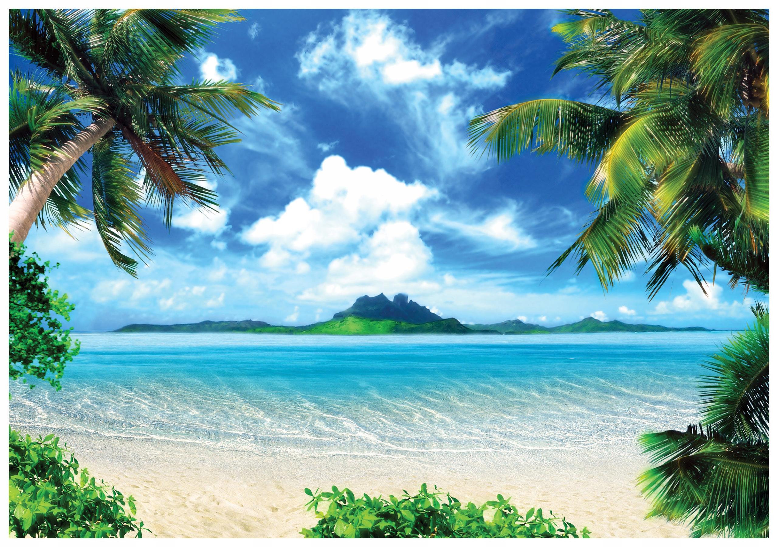 Fototapeta Pláž Palmy Ostrov Moře Světle Modrá 312x219 vinylová lepidlo