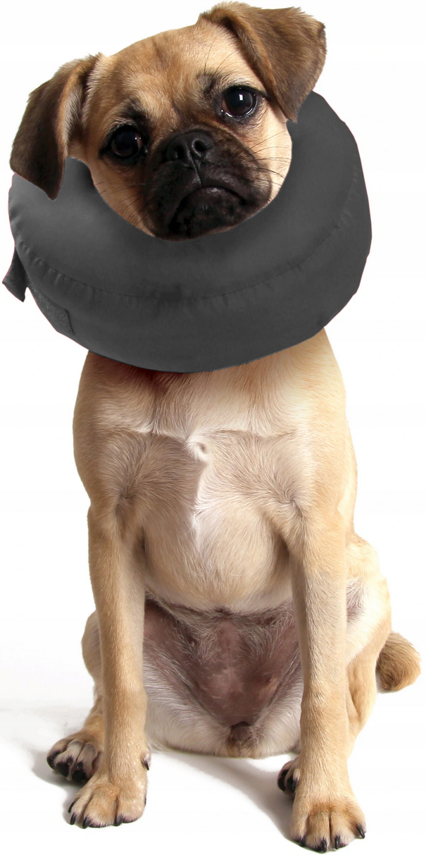 Miękki Kołnierz Pooperacyjny Psa Kota Oponka -XXXL